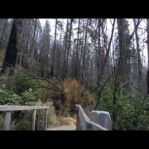 Meet your Posher, Katharine